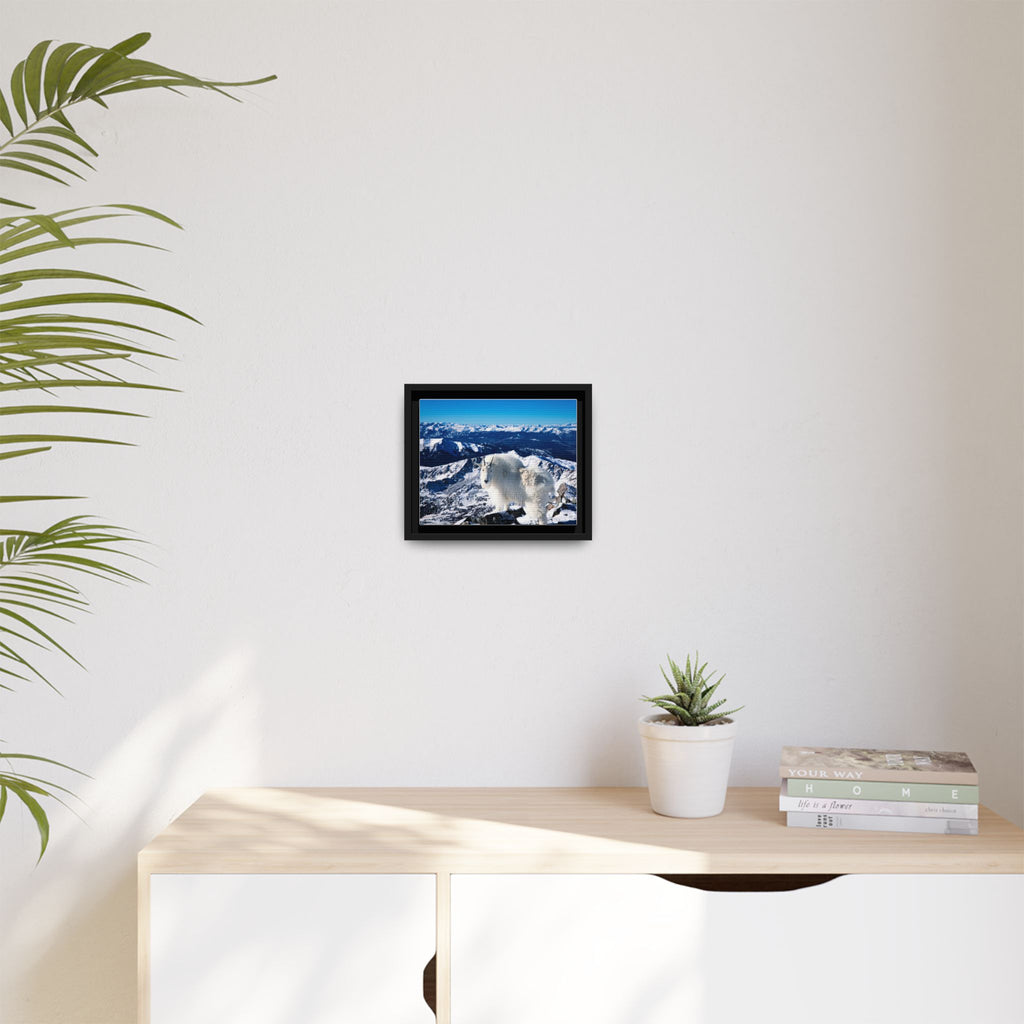 High Country Mountain Goat — Framed Canvas Print
