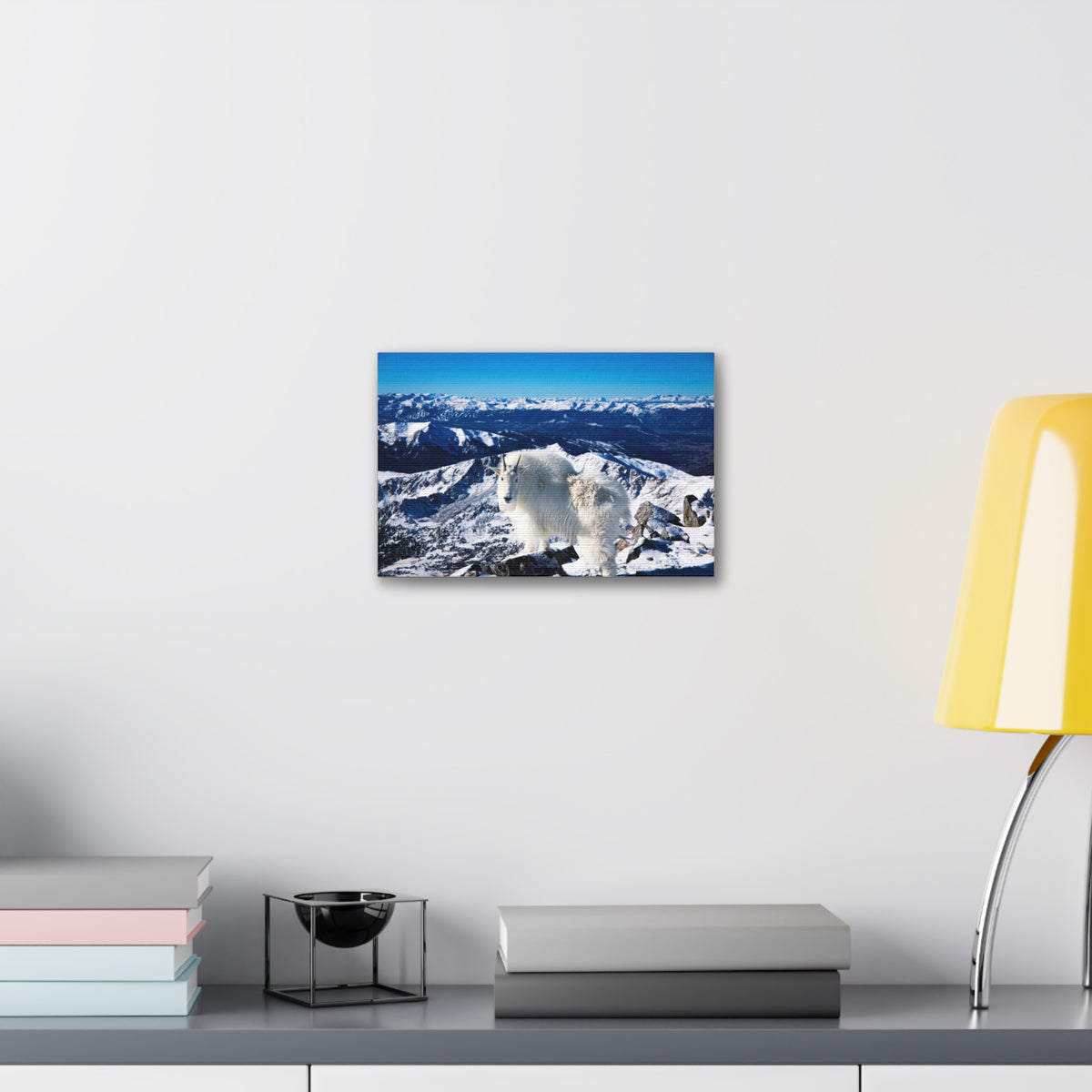 High Country Mountain Goat — Gallery Canvas Print