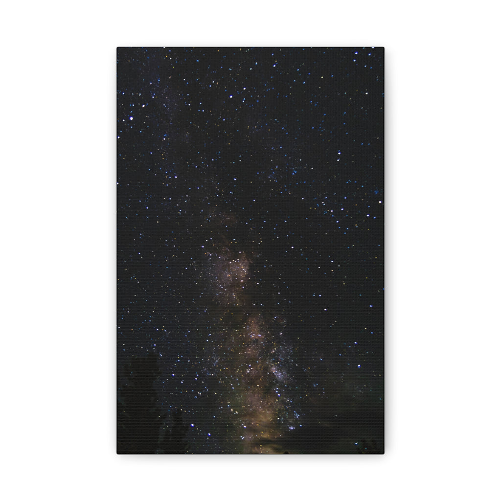 Milky Way Through the Pines — Classic Canvas Print