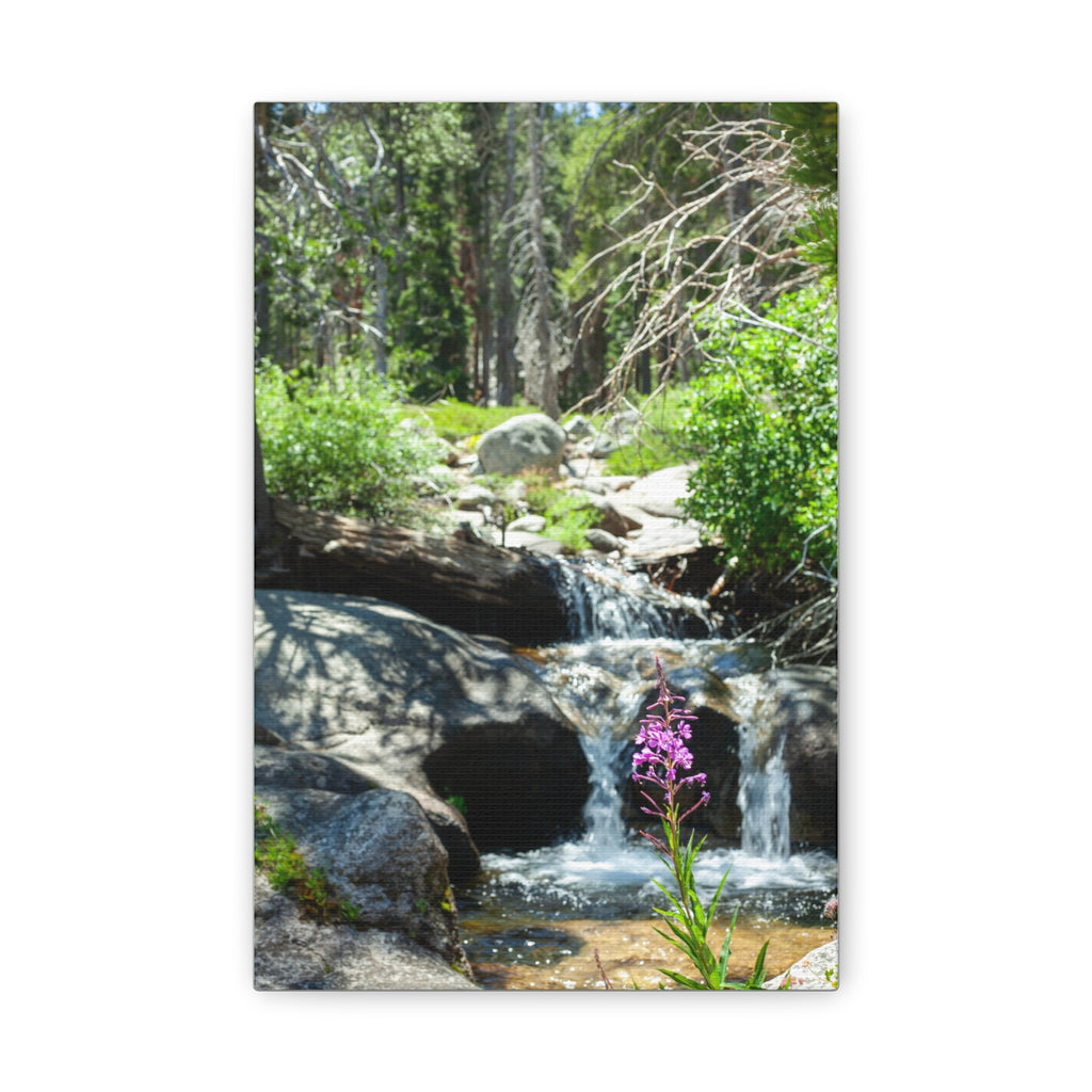 Wildflower Falls — Classic Canvas Print