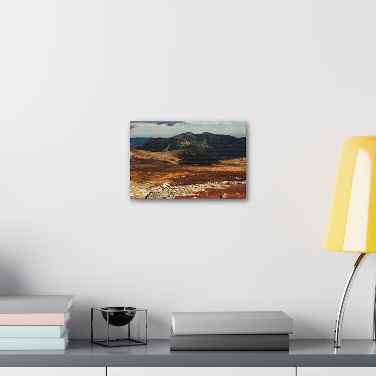 Alpine Tundra in Fall — Gallery Canvas Print