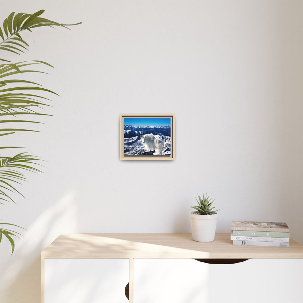 High Country Mountain Goat — Framed Canvas Print