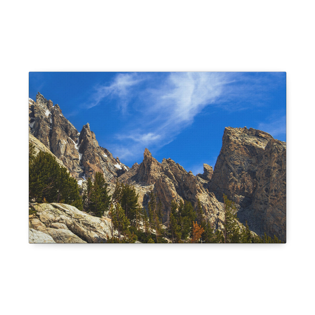 Spires and Pines — Gallery Canvas Print