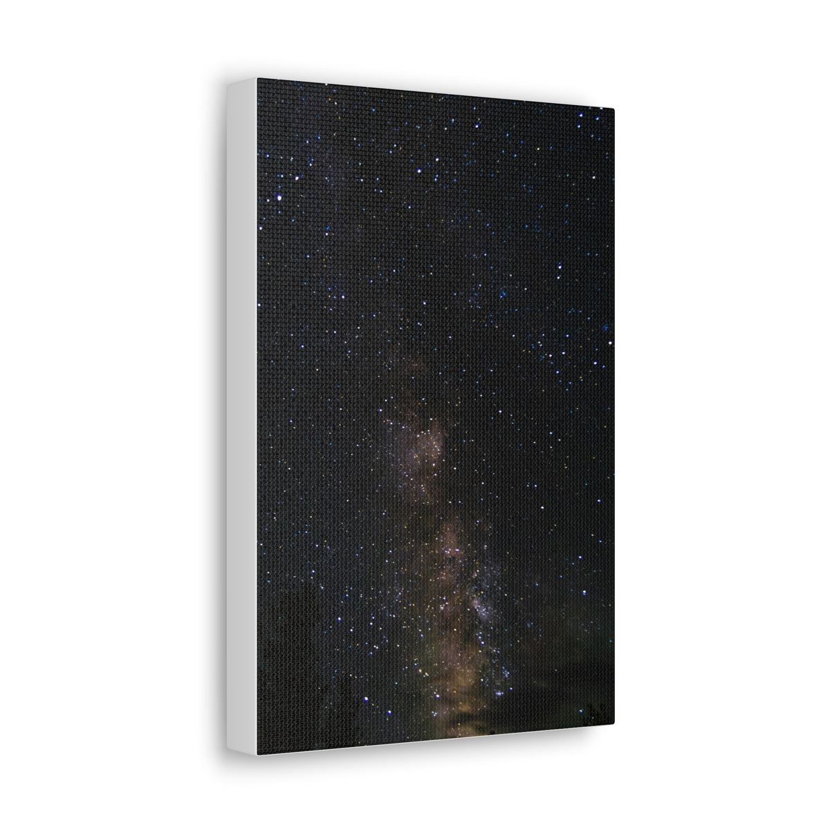 Milky Way Through the Pines — Classic Canvas Print