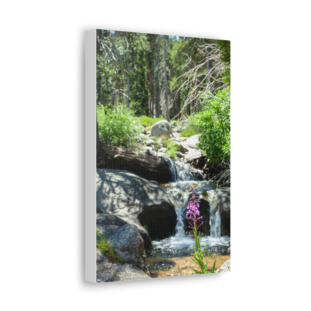 Wildflower Falls — Classic Canvas Print