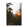 Forest Sunburst — Classic Canvas Print