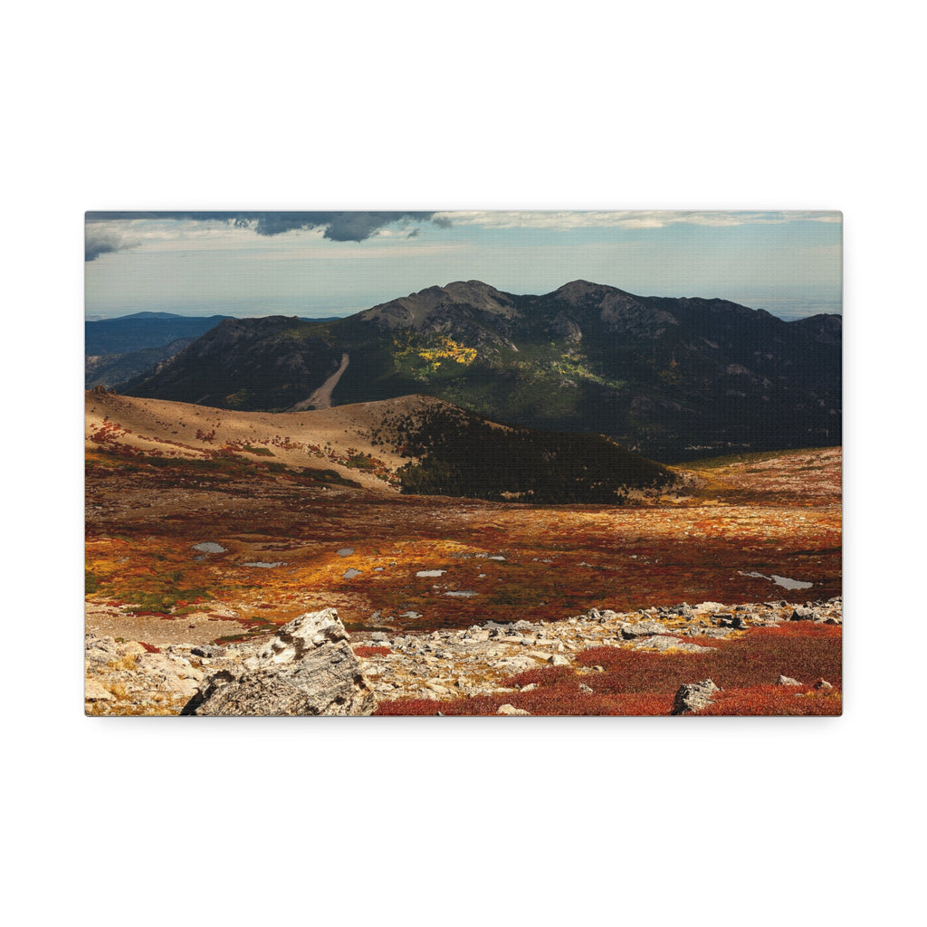 Alpine Tundra in Fall — Gallery Canvas Print