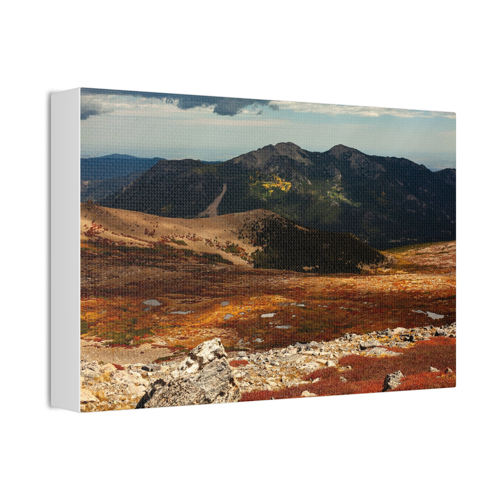 Alpine Tundra in Fall — Gallery Canvas Print