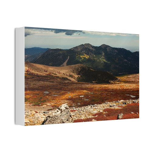 Alpine Tundra in Fall — Gallery Canvas Print