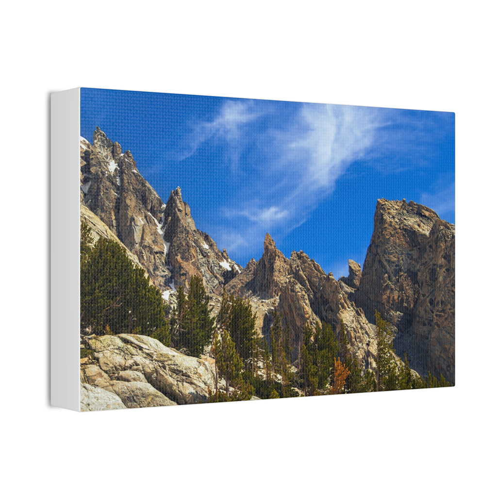 Spires and Pines — Gallery Canvas Print